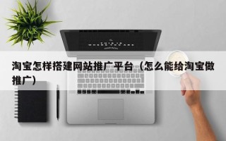 琼中淘宝怎样搭建网站推广平台（怎么能给淘宝做推广）